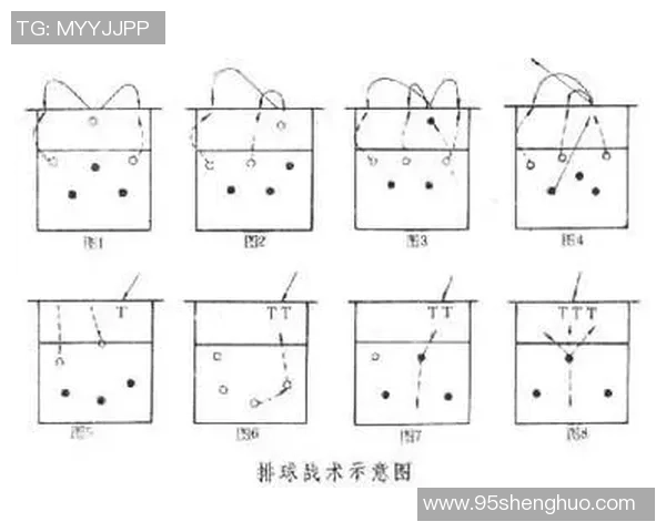 北京排球队战术解析与未来发展方向探讨