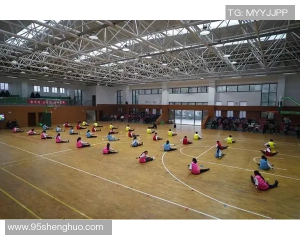 南京排球队个人能力分析与提升策略探讨 南京排球队个人能力分析与提升策略探讨