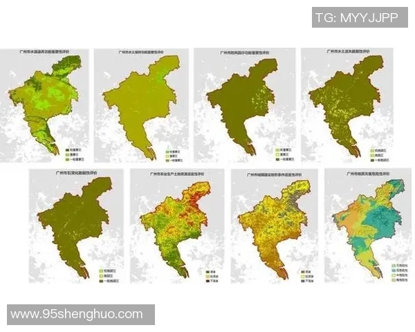 广州排球队在邀请赛中的速度表现分析与点评