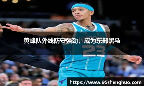 黄蜂队外线防守强劲，成为东部黑马