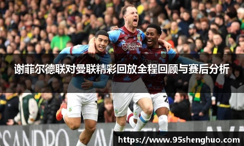 谢菲尔德联对曼联精彩回放全程回顾与赛后分析